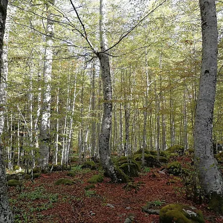 Refugio De Conangles 비에라