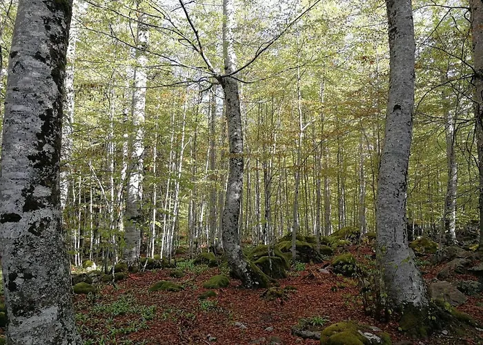Refugio De Conangles Vielha