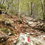 Refugio De Conangles Pensión