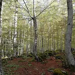 Refugio De Conangles Vielha