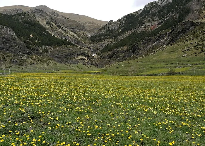 Affittacamere Refugio De Conangles Vielha